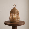 v2-rattan-day